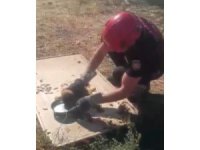 Kanala düşen yavru köpek kurtarıldı