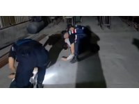 Konteynere iklimlendirme sistemi kurup uyuşturucu yetiştirdiler