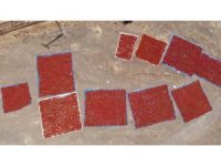 Kahramanmaraş’ta coğrafi işaretli biberde hasat başladı