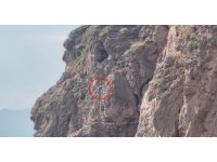 Herkes falezlerde mahsur kaldığını düşünürken gerçek apayrı çıktı