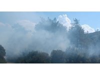 Andırın’da orman yangını büyümeden söndürüldü