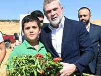 Başkan Görgel; "Coğrafi işaretli Maraş biberimizin üretimi 30 bin tona ulaştı"