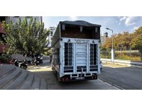 Adana’da 30 milyonluk kaçak doldurulmuş sigara ele geçirildi