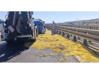 Kamyonet bariyerlere çarptı, kilolarca patates yola saçıldı