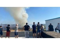 Antalya’da makilik alanda çıkan yangın zeytin ağaçlarına zarar verdi