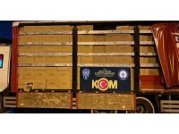 Adana’da 14 milyon 340 bin kaçak makaron ele geçirildi: Piyasa değeri 9 milyondan fazla