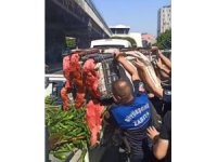 Adana’da zabıta seyyarsatıcılara operasyon yaptı, ürünleri ziyan etti