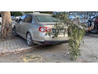 Kırılan ağaç dalı otomobile zarar verdi