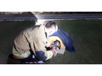 Balık misinasına dolanarak yaralanan kedinin imdadına itfaiye yetişti