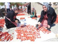 Afetzede kadınların kuruttuğu domatesler, kış aylarında sofraları süslüyor
