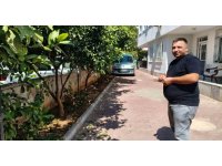 Antalya’da portakal koparma kavgası