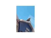 Elindeki bıçakla korku dolu anlar yaşatan şahsı ekipler ikna etti