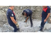 Beton zemin mahsur kalan yavru kedi için kırıldı