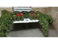 Antalya’da 43 kilo uyuşturucu madde ele geçirildi