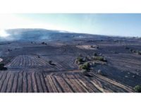 Uzmanı uyardı: "Orman yangınlarına karşı topraktaki nem kapasitesini arttırmalıyız"