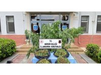 Mersin’de zehir tacirlerine darbe