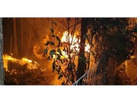 Antalya’da yerleşim alanına yakın sazlık alanda yangın paniği