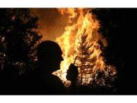 Antalya’da ormanlık alanda yangın kontrol altına alındı