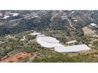 Engebeli arazide tropikal meyve başarısı: 104 dönümlük serada 20’den fazla çeşit meyve yetiştiriliyor