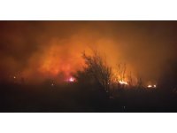 Osmaniye’de makilik yangını söndürüldü