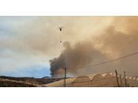 Alanya’daki orman yangını yeniden alevlendi