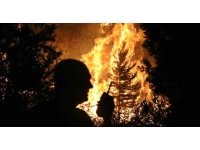 Antalya, bir gecede 2 ilçedeki 5 ayrı noktada yangınla mücadele etti