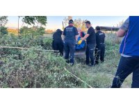 Osmaniye’de kayıp olarak aranan yaşlı adam sulama kanalında ölü bulundu