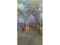 Adana’da çıkan orman yangınları söndürüldü