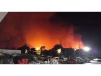 Antalya Aksu’da ormanlık alanda yangın