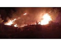 Düğün sırasında çalılık alanda yangın çıktı: Ormana sıçramadan söndürüldü