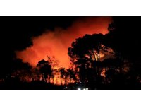 Antalya’da otellere yakın ormanlık alanda çıkan yangın kontrol altına alındı