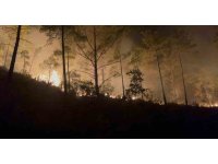 Alanya’da ormanlık alandaki yangın