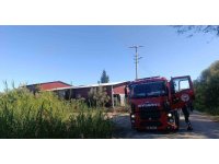 Kamışlık alanda başlayan yangın gıda toptancı deposuna sıçradı