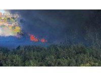 Adana’da geri dönüşüm fabrikasında yangın çıktı