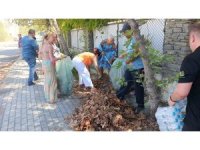 Turistler yangın sonrası otel çevresindeki kurumuş ot ve yaprakları temizledi