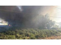 Geri dönüşüm fabrikasındaki yangına havadan da müdahale başladı