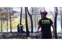 Antalya’da ormanlık alandaki yangın büyümeden söndürüldü: Kova ve küreklerle müdahale ettiler