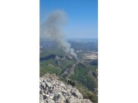 Serik’te ormanlık alanda yangın