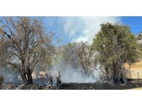 Akseki’de otluk yangın büyümeden söndürüldü