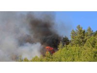 Serik’te orman yangınının enerjisi düşürüldü