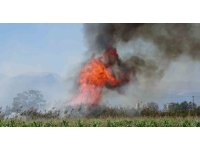 Antalya’da kargılık alanda yangın