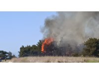 Manavgat’ta arazide başlayan yangın ormanlık alana sıçradı