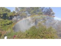 Orman yangınında uçaktan atılan su gökkuşağı oluşturdu