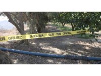 Para için arkadaşını narenciye bahçesinde satırla doğrayan şahıs yakalandı