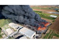 Uzmanı uyardı: "Hava kirliliği meme kanserini arttırıyor"