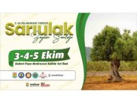 Tarsus’ta ’Sarı Ulak Zeytin Şenliği’ 3 Ekim’de başlıyor