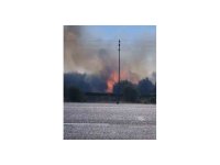 Zamanında müdahale yangının bahçelere sıçramasını önledi