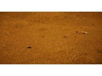 Uuzun namlulu silahla galeriyi taradılar: 10’dan fazla mermi isabet etti