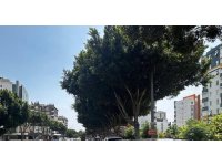 Antalya’da son 1 haftada 16 bin 155 araç ve sürücüsüne ceza kesildi