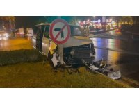 Danimarkalı aile, tur minibüslerinin kazasında hafif yaralandı